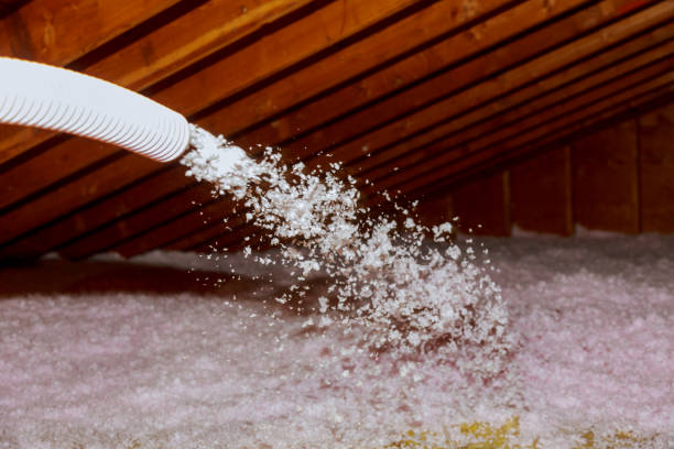 Best Local Insulation Services  in Markham, IL
