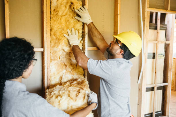 Best Attic Insulation Installation  in Markham, IL